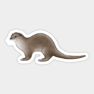 Eurasian Otter Sticker